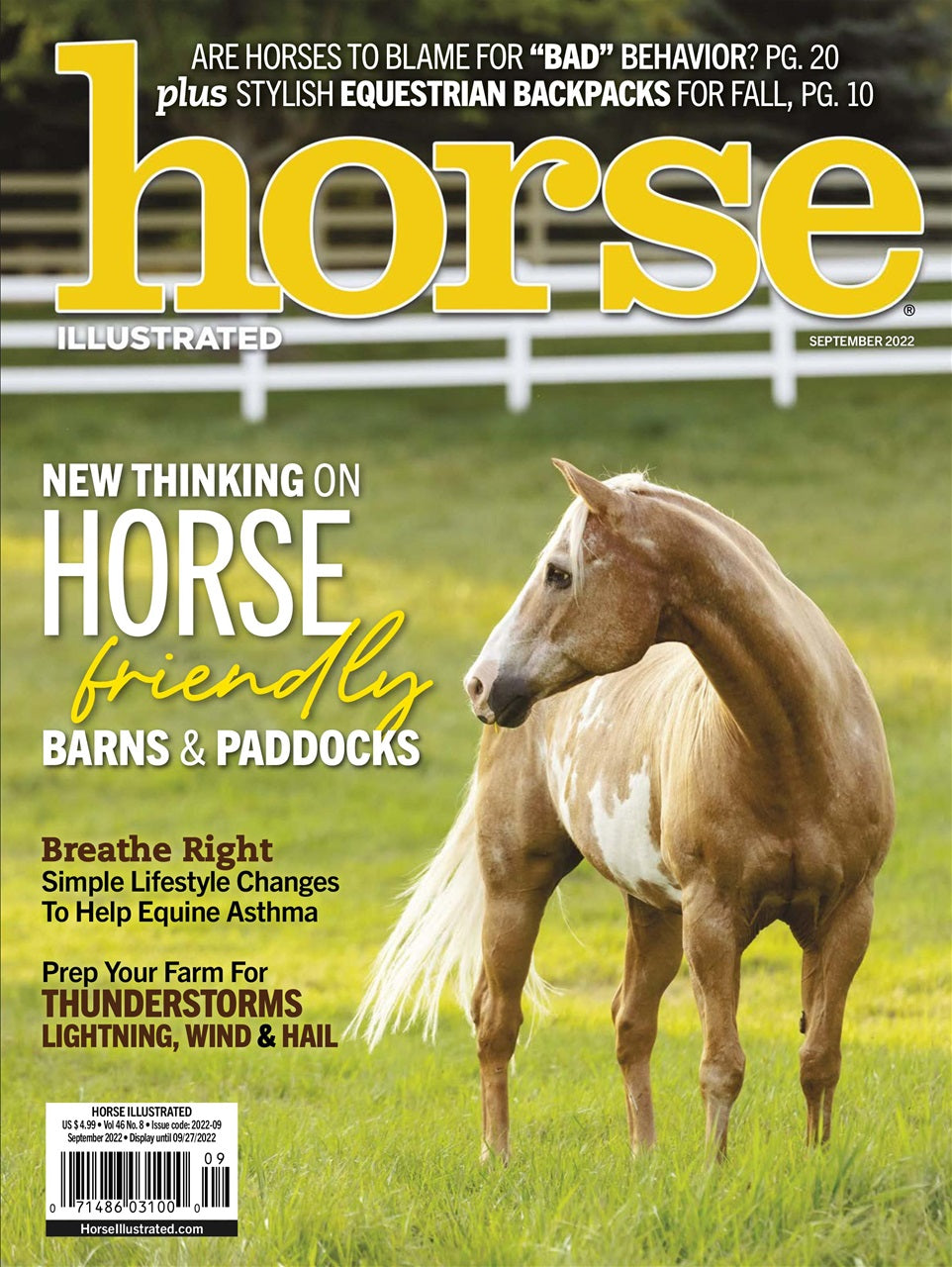 Horse Illustrated