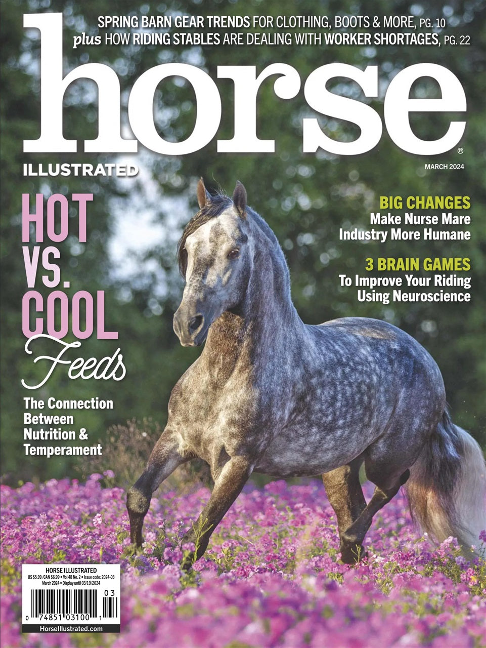 Horse Illustrated