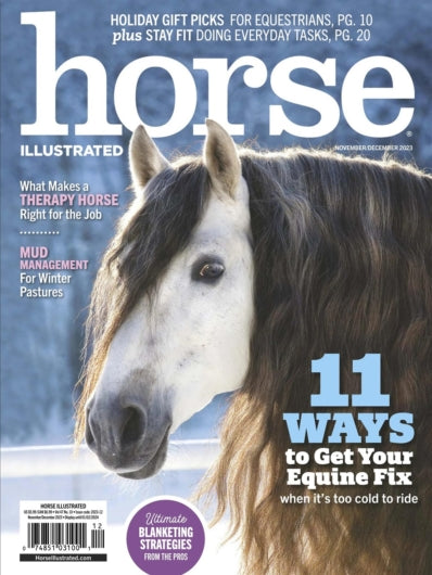 Horse Illustrated