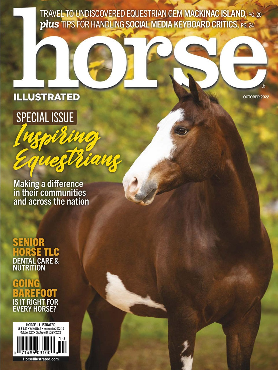 Horse Illustrated