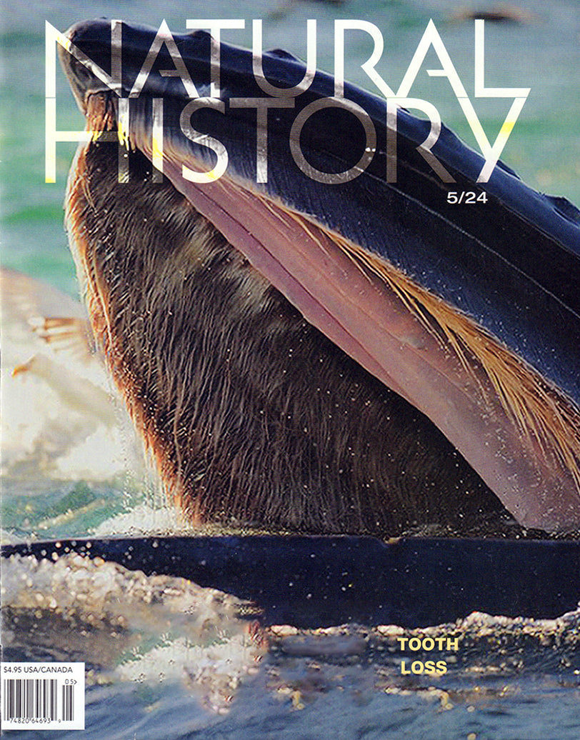 Natural History