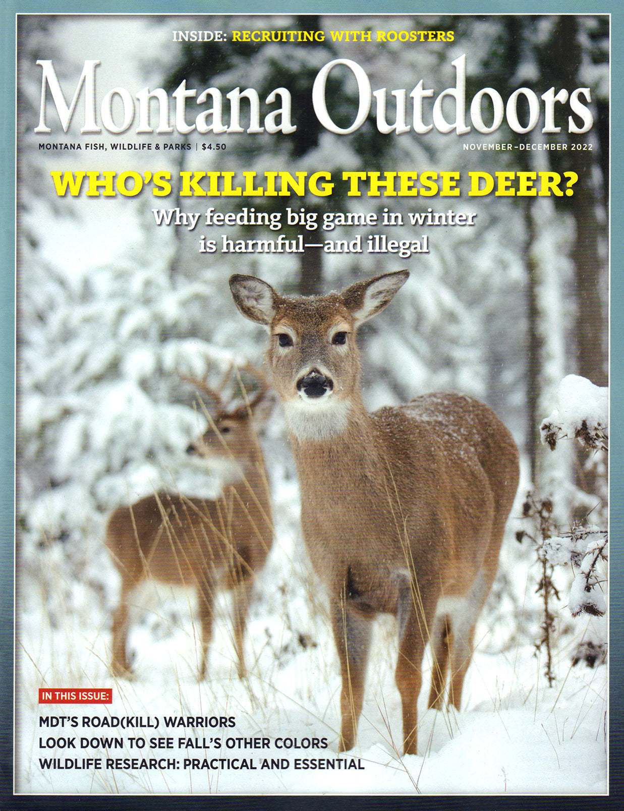 Montana Outdoors