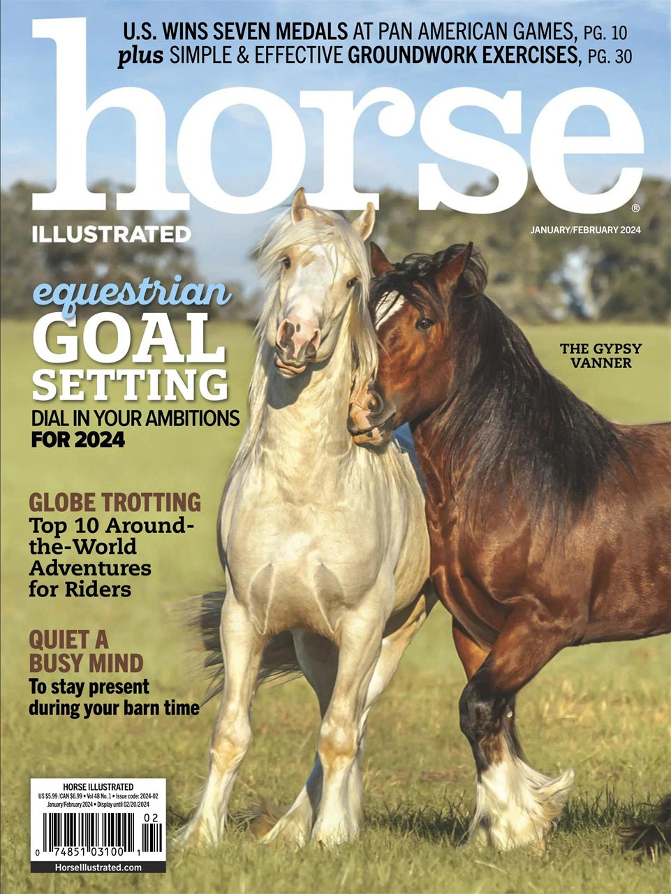 Horse Illustrated
