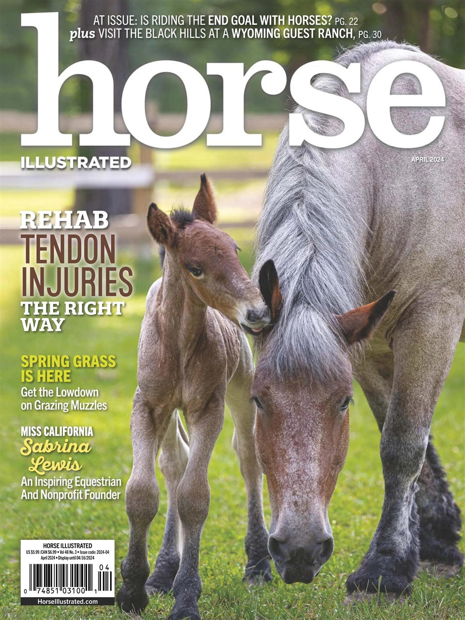 Horse Illustrated