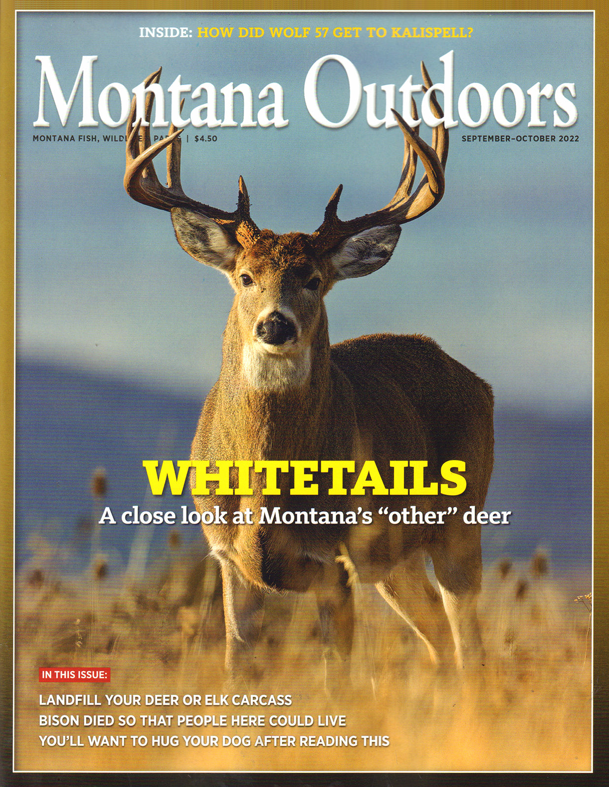 Montana Outdoors