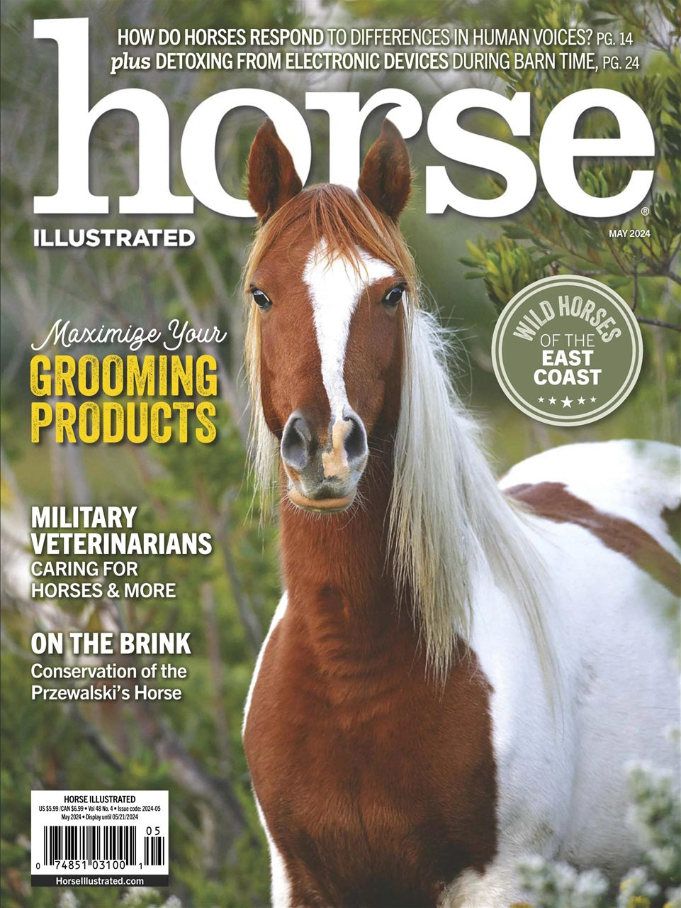 Horse Illustrated