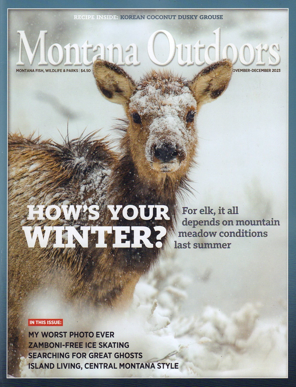 Montana Outdoors