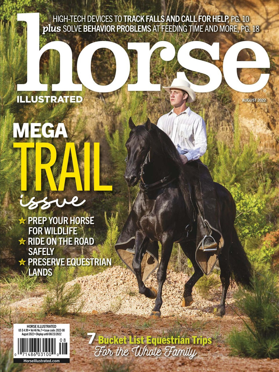 Horse Illustrated