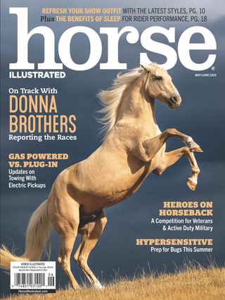 Horse Illustrated