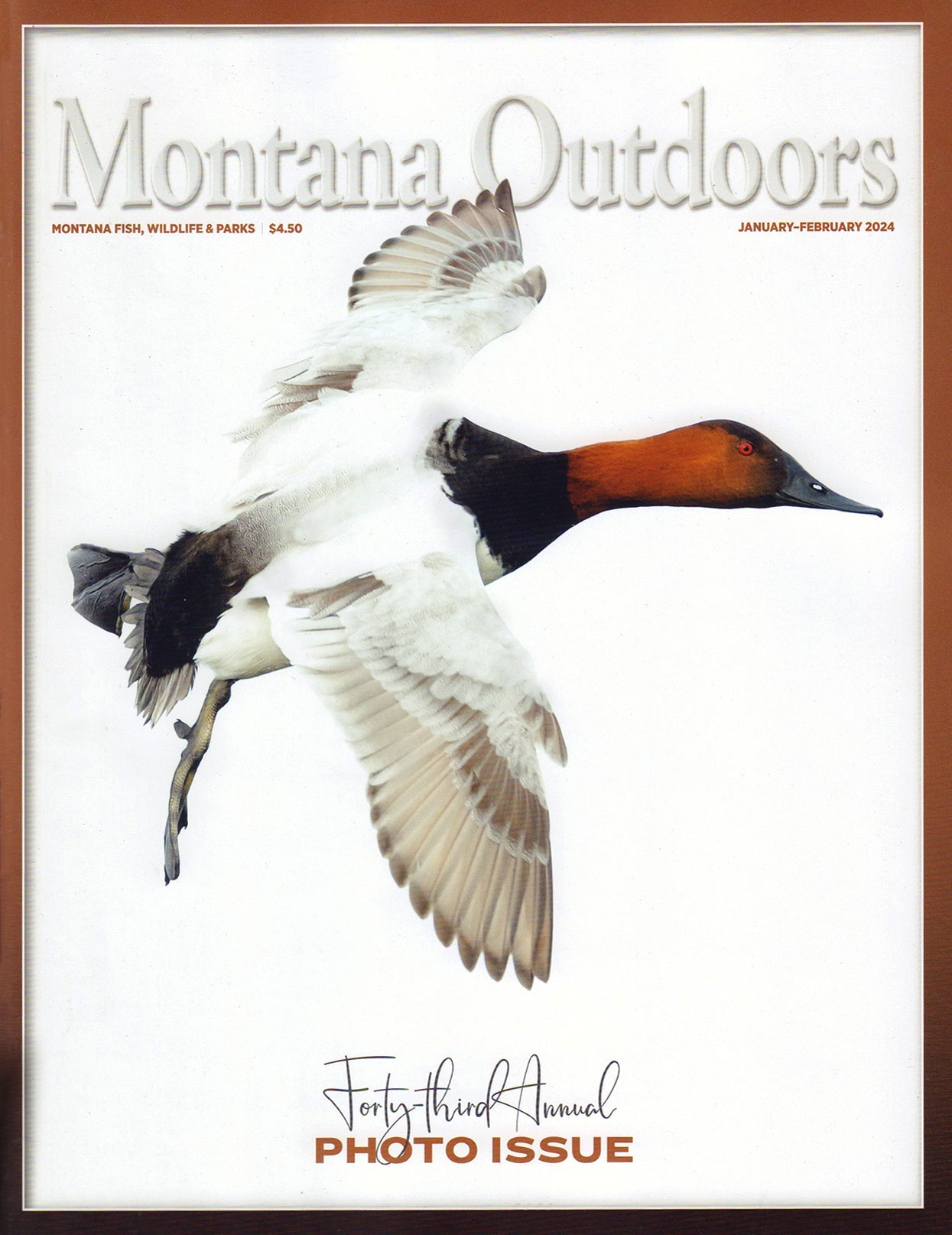 Montana Outdoors