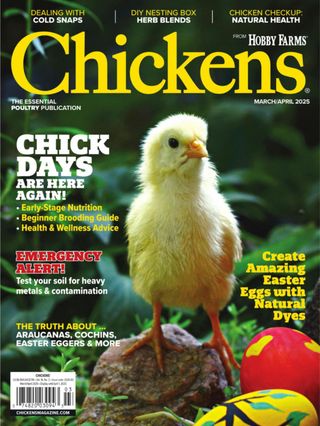 Chickens