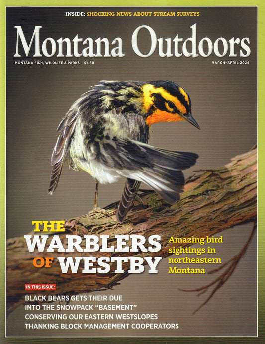 Montana Outdoors