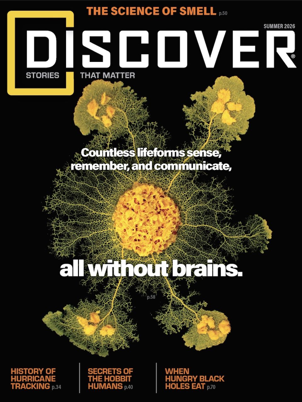 Discover