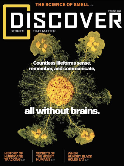 Discover