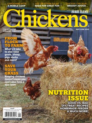 Chickens
