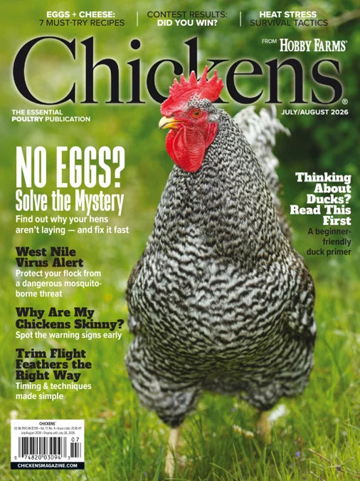 Chickens