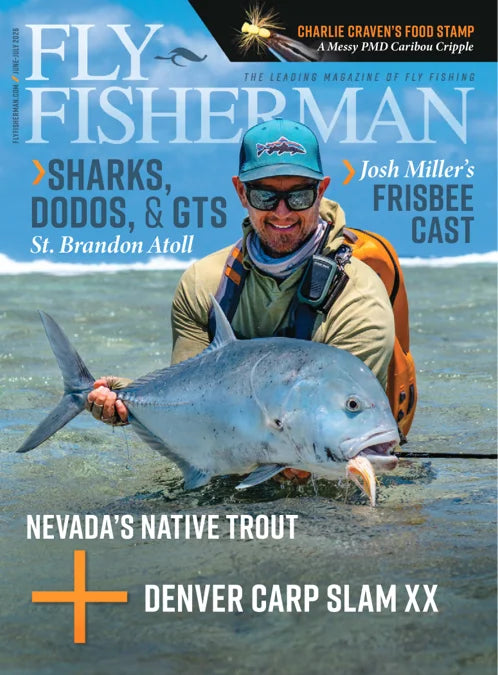 Fly Fisherman