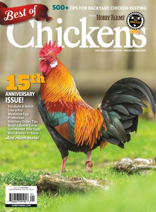 Chickens